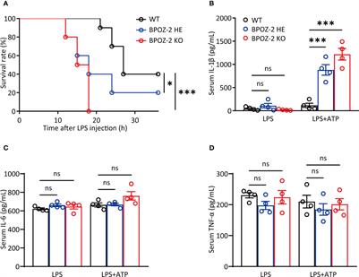 BPOZ-2 is a negative regulator of the NLPR3 inflammasome contributing to SARS-CoV-2-induced hyperinflammation